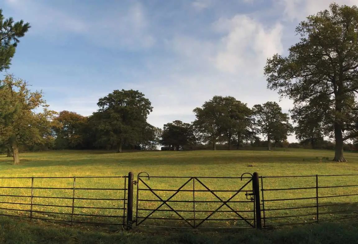 A rural landscape featuring a metal gate and fencing, illustrating William Morfoot Ltd’s commitment