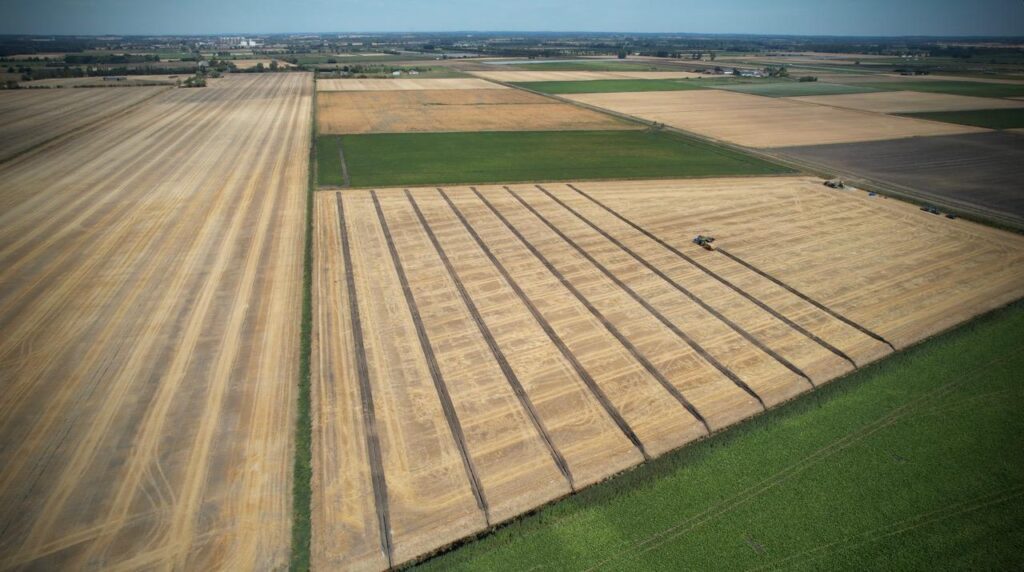 Eastern England in mid-August 2026 drainage works