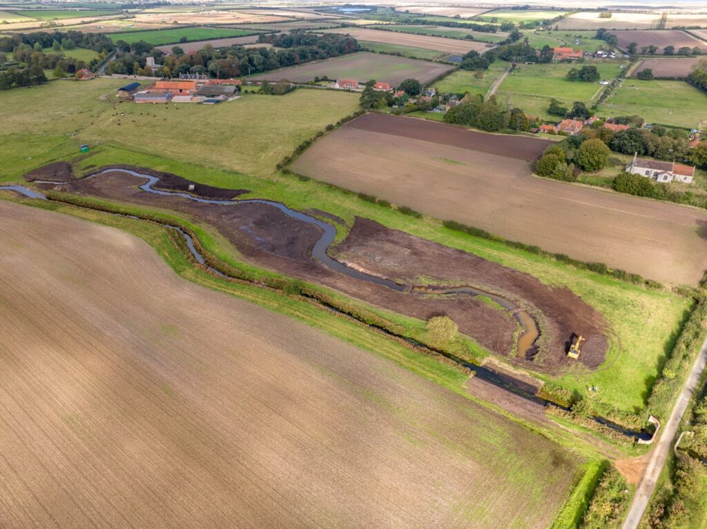 Newly created river meanders reconnecting a watercourse with its surrounding landscape