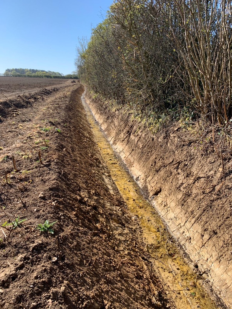A drainage outfall discharging into a ditch as part of a wider farm water management system